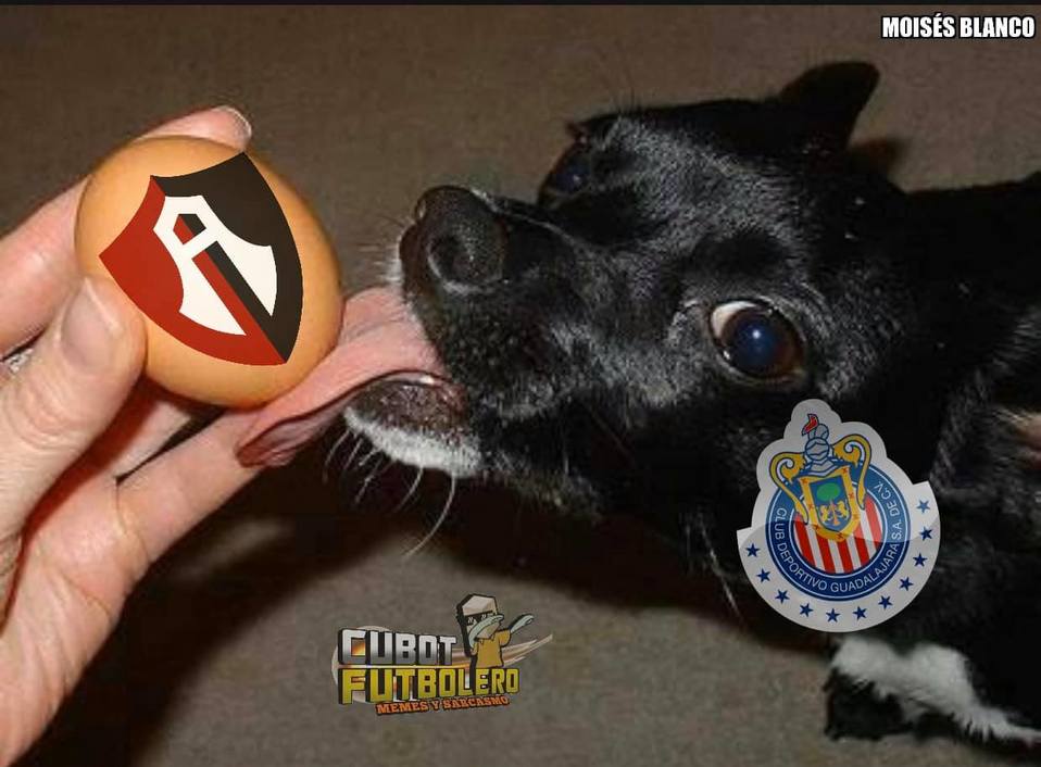Soñaban con Liguilla los Chivahermanos... Pero la realidad los golpeó en la cara.