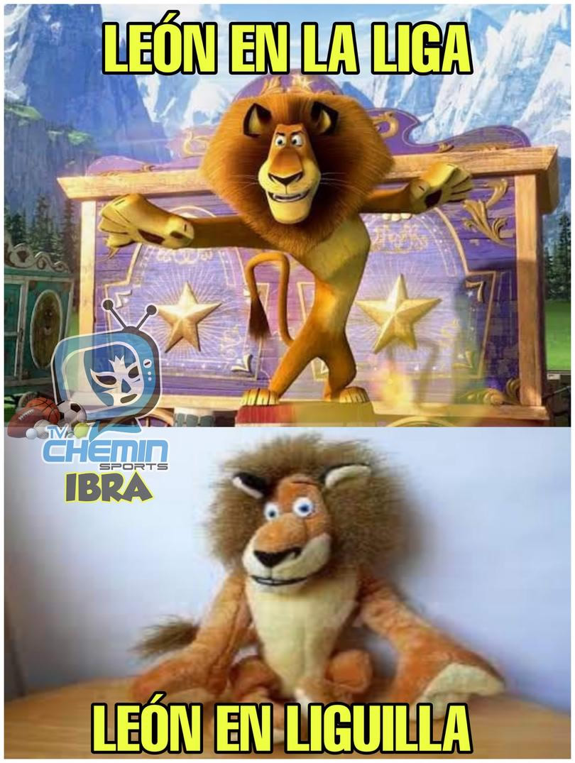 Los memes más divertidos de los Cuartos de Final.