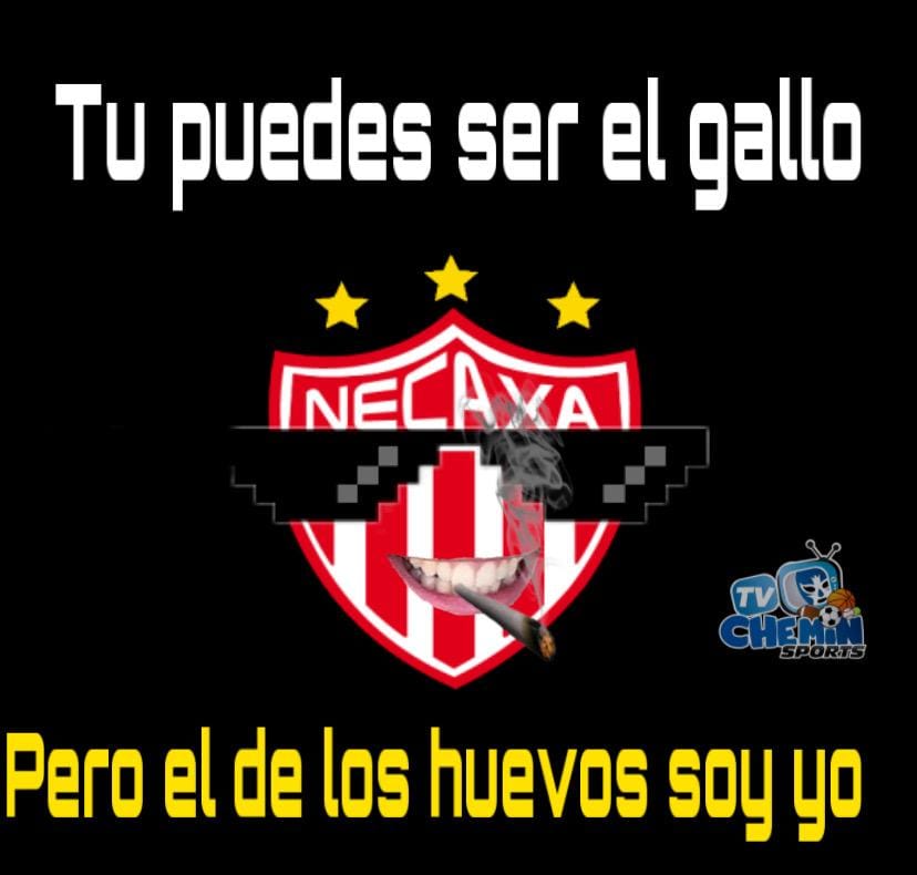 Los memes más divertidos de los Cuartos de Final.