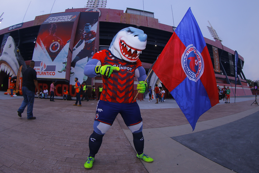 Apoyando con todo. (imago 7)