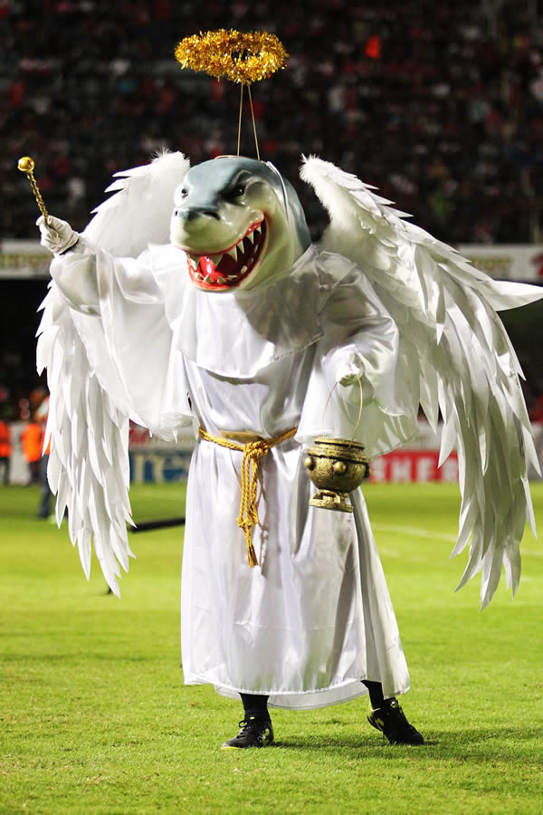 Un angelito. (imago 7)