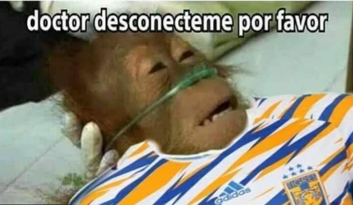 Los mejores memes del Necaxa vs Monterrey; Rayados es finalista.