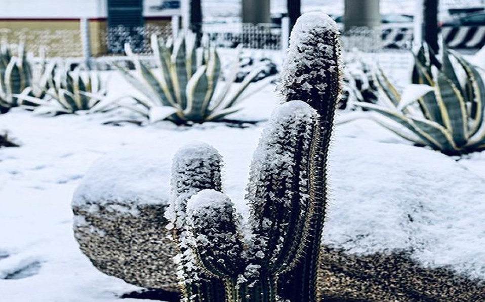 Así luce la segunda nevada en el estado de Baja California.