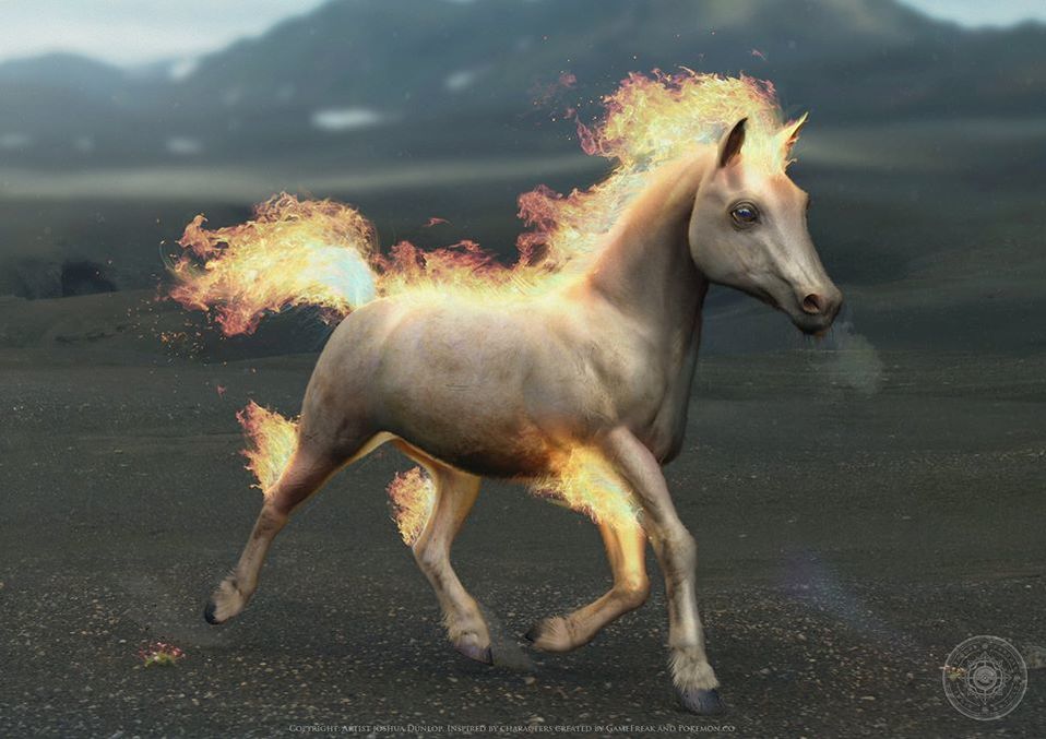 Ponyta