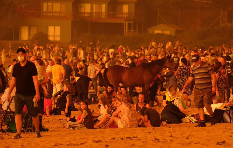 Cientos de familias y animales se refugian en playas de Australia