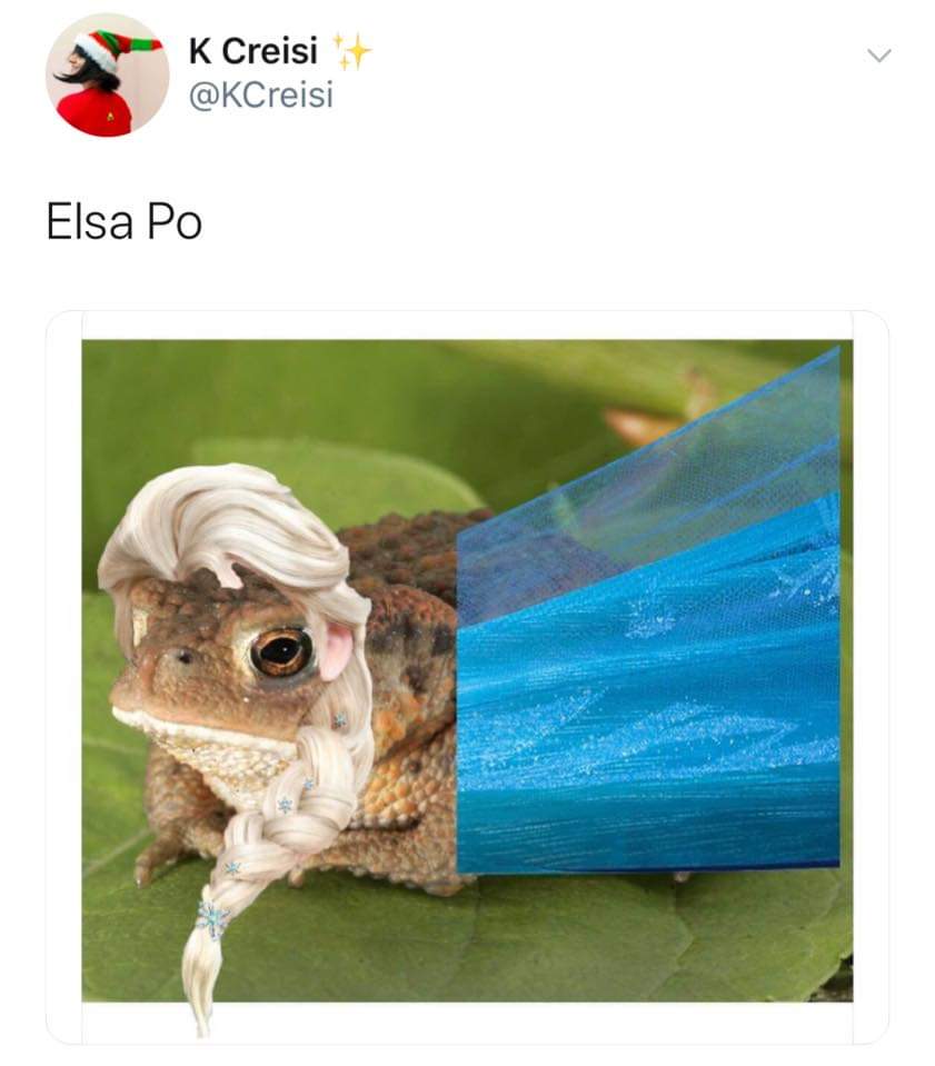 Los mejores memes de Elsa para que rías empezando el 2020.