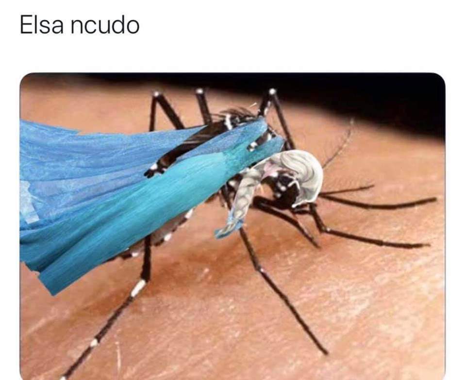 Los mejores memes de Elsa para que rías empezando el 2020.