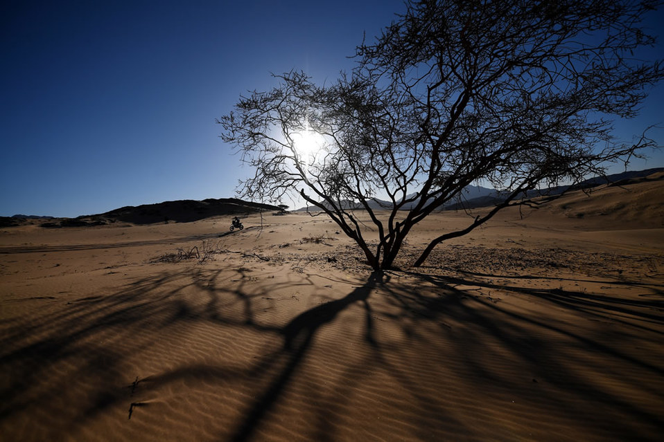 Al caer la tarde. (AFP)