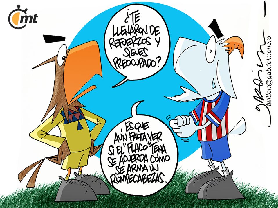 El armador