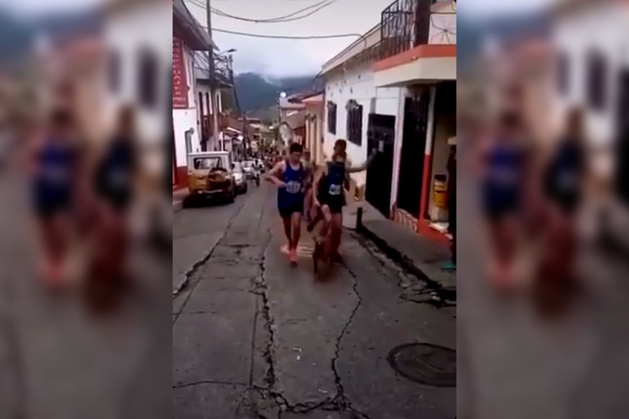 El corredor perdió la paciencia con el perro.