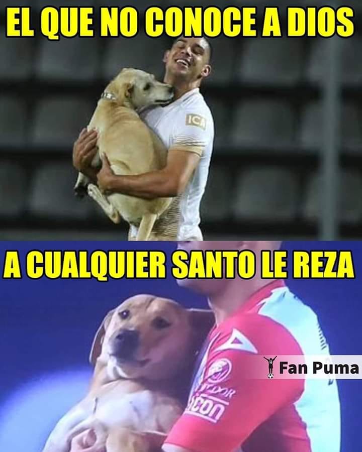 Los memes más divertidos de la derrota de Cruz Azul ante Atlético de San Luis.