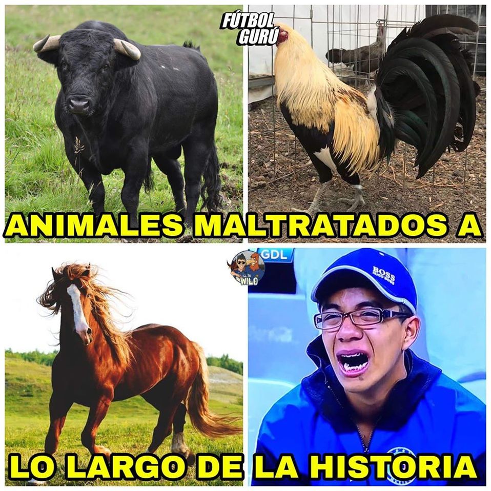 Los memes más divertidos de la derrota de Cruz Azul ante Atlético de San Luis.