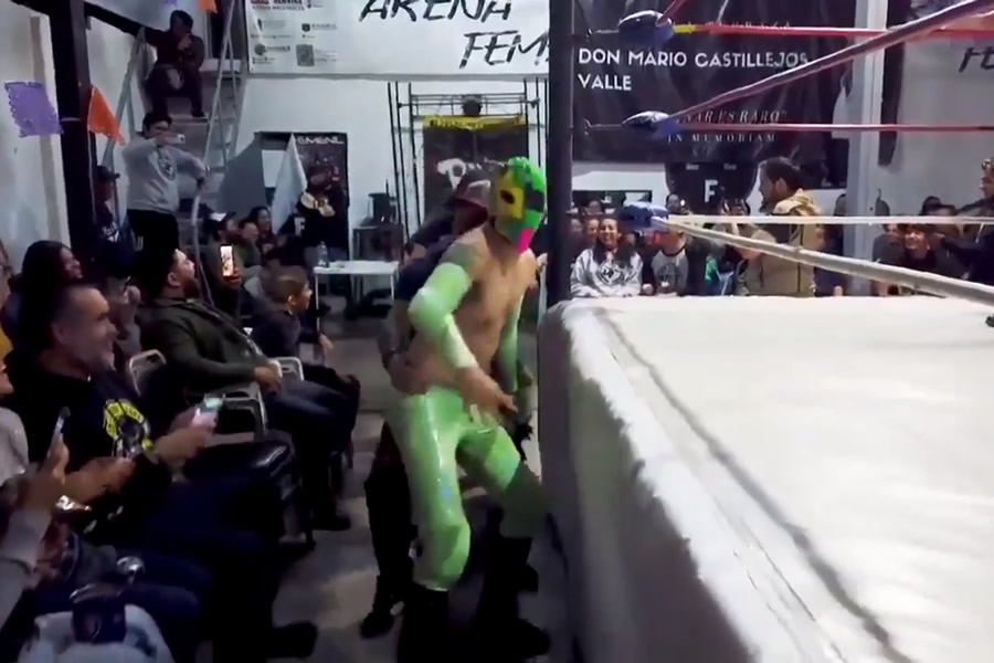 Mr. Iguana recibió el apoyo de varios de sus compañeros. (Foto: RIOT)