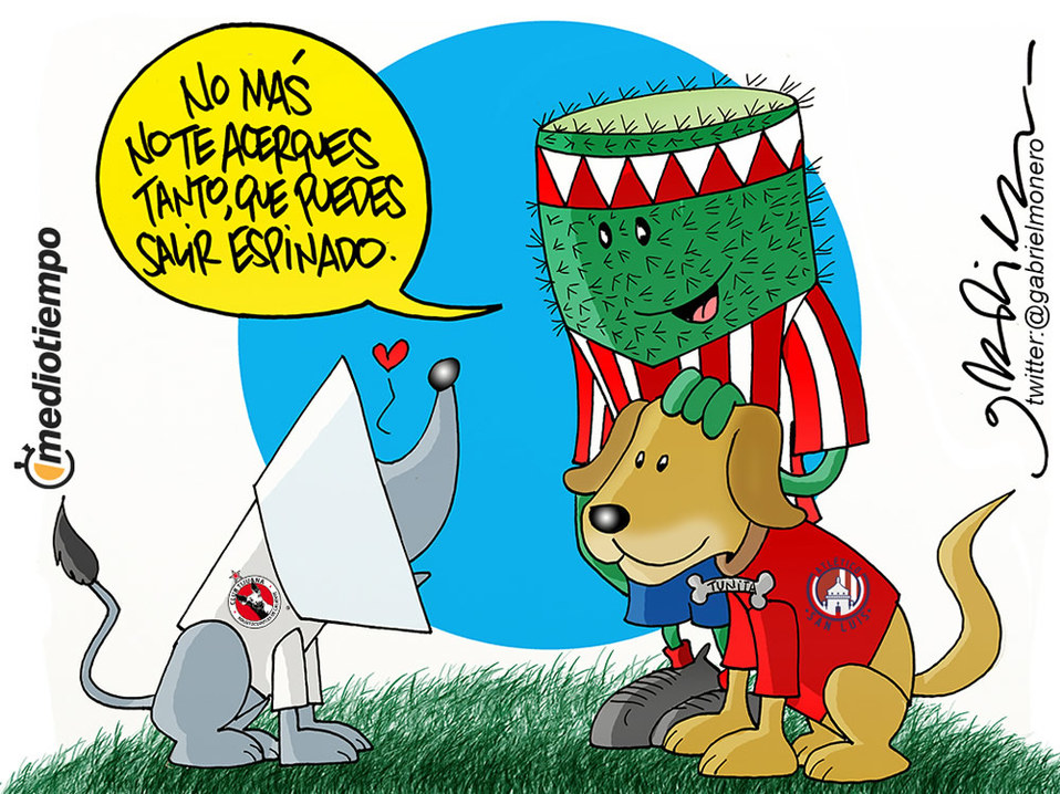 Amores perros