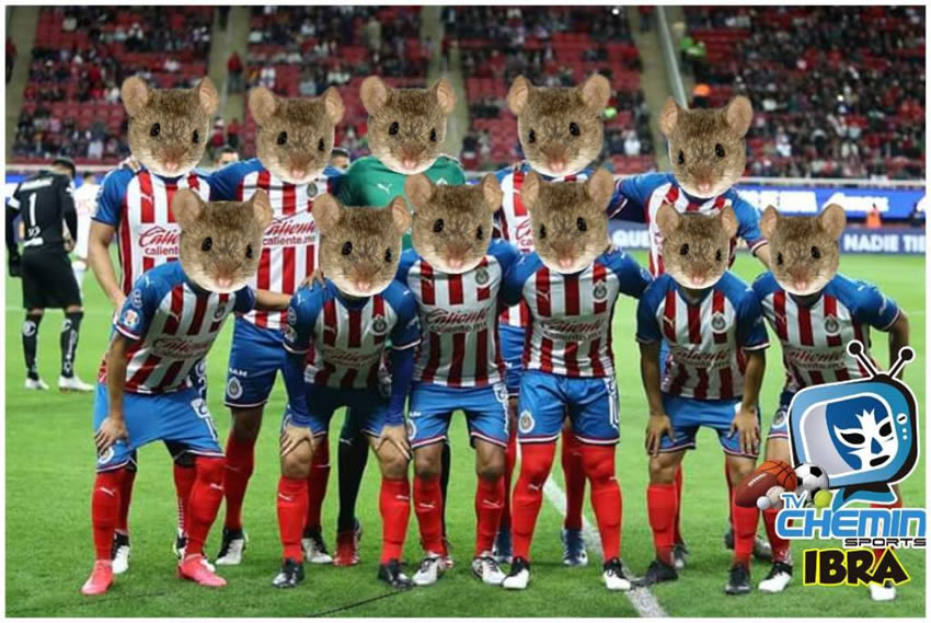 Los memes no perdonaron la eliminación de las Chivas.