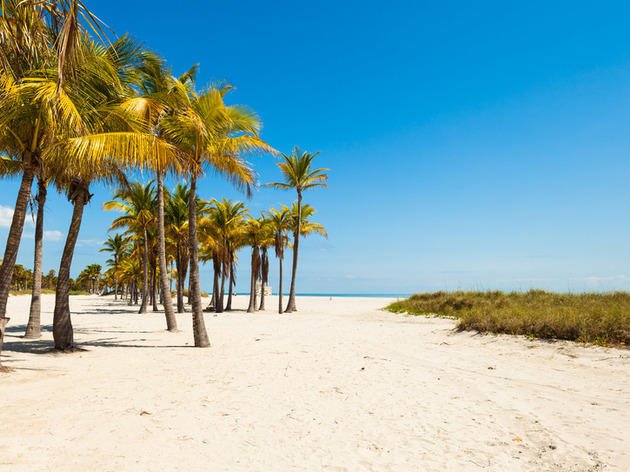 Crandon Park. Este hermoso parque vale por sí solo el boleto hasta Miami, pues sus playas son ideales para tomar el sol y relajarse.