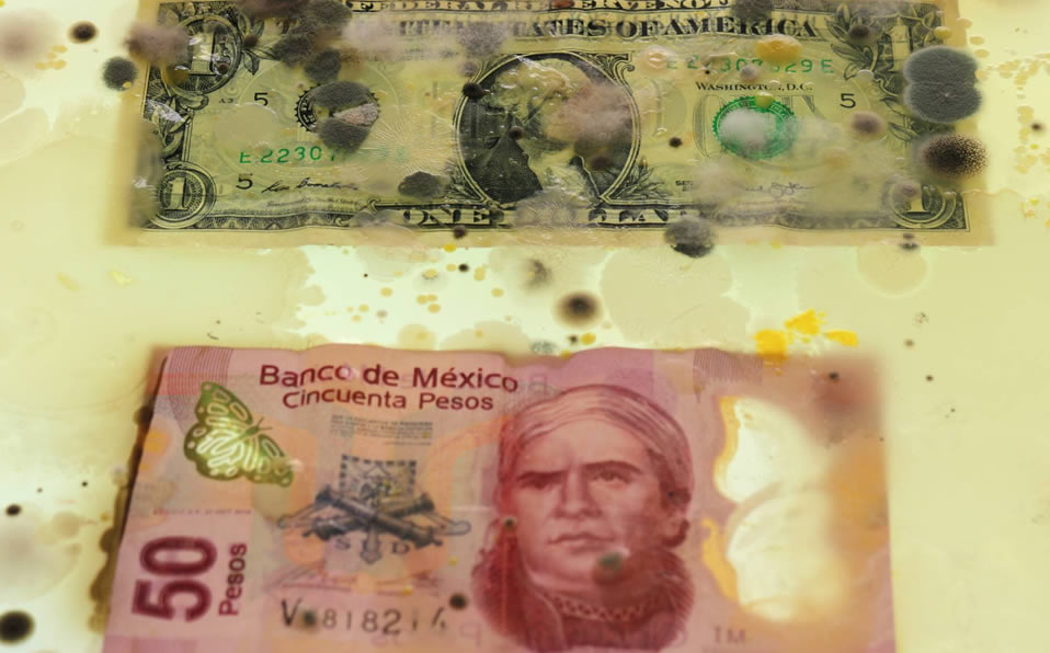 Los billetes de la exposición de Ken Rinaldo, donde se aprecia uno de 50 pesos mexicanos. Foto: Ken Rinaldo