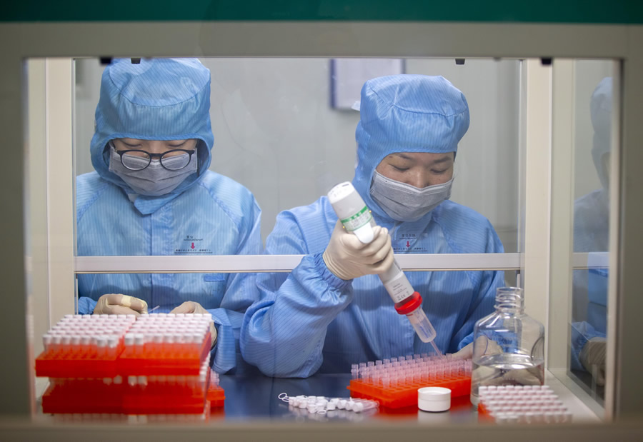 Científicos chinos analizan trabajan con las cepas del virus. (Foto: EFE)