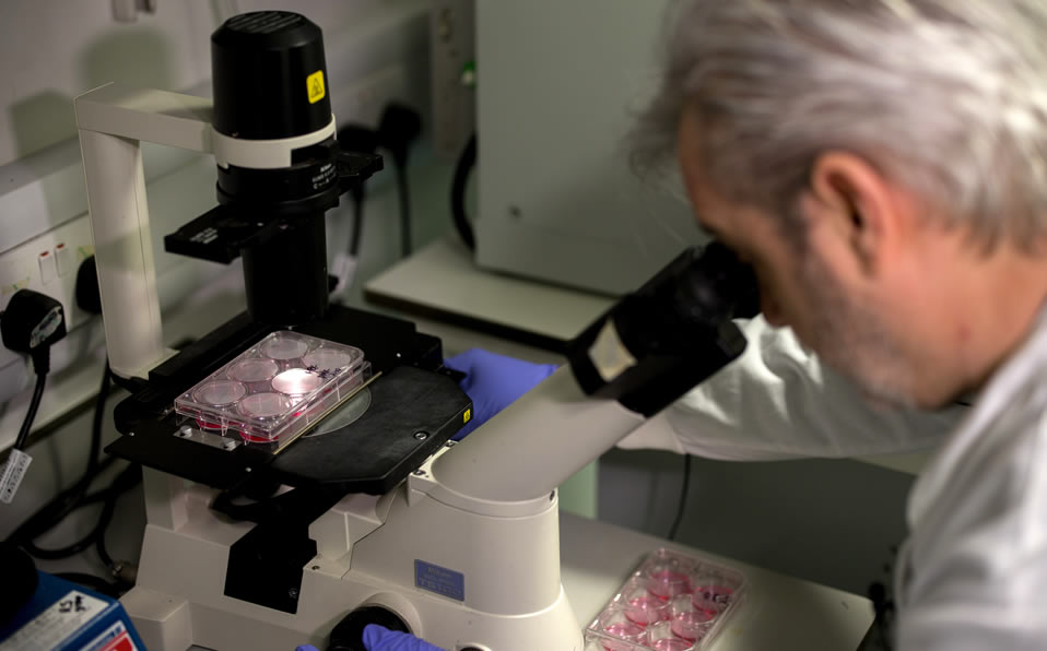 La OMS ya le ha asignado un nombre oficial al coronavirus: Covid-19. Foto: AFP