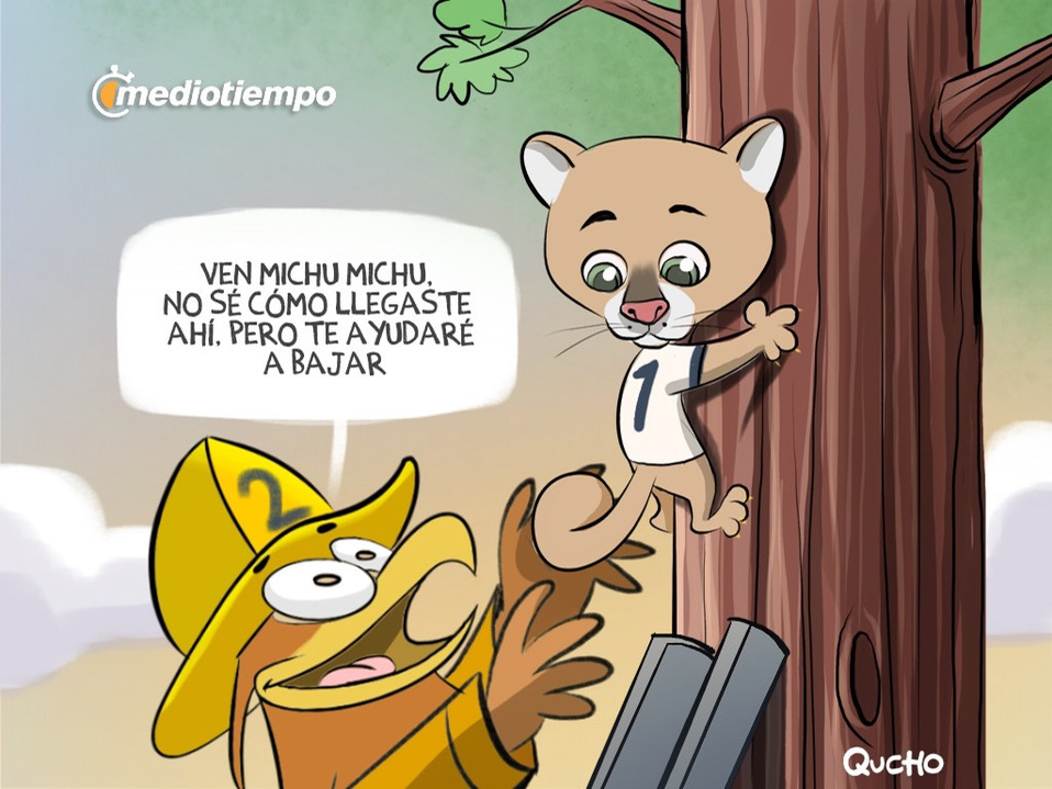 El humor de Qucho.