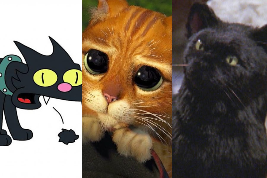 Estos son los gatos más famosos.