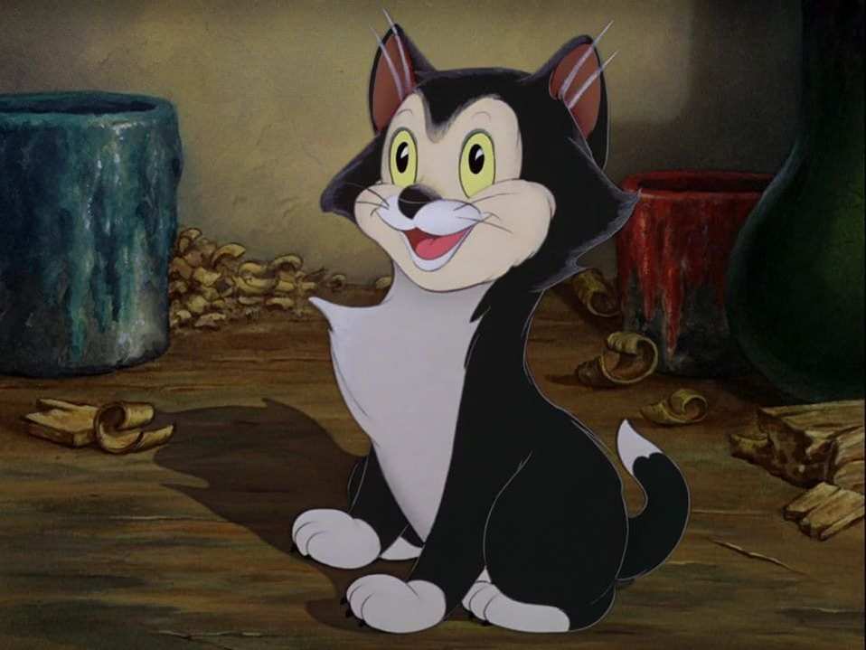 Figaro de Pinocho.