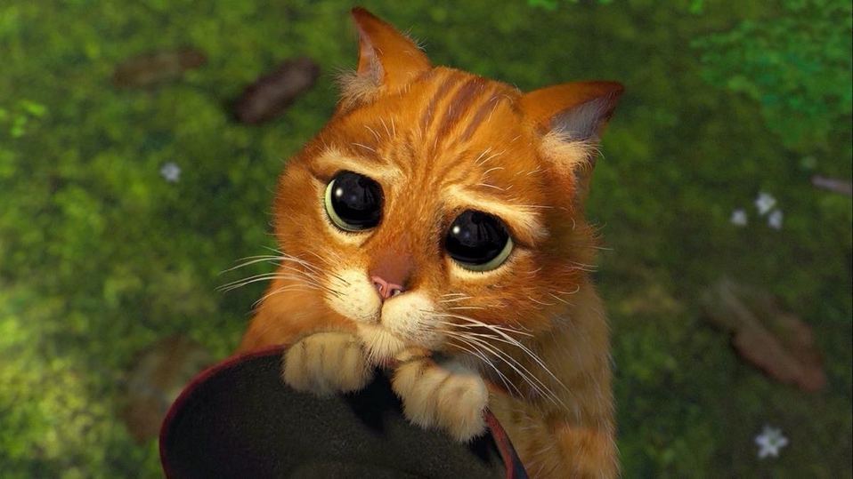 Gato con botas.