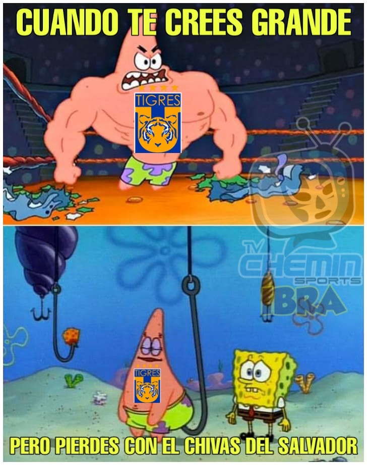 Los memes jamás perdonarán a los Tigres y sus vergüenzas fuera de México.