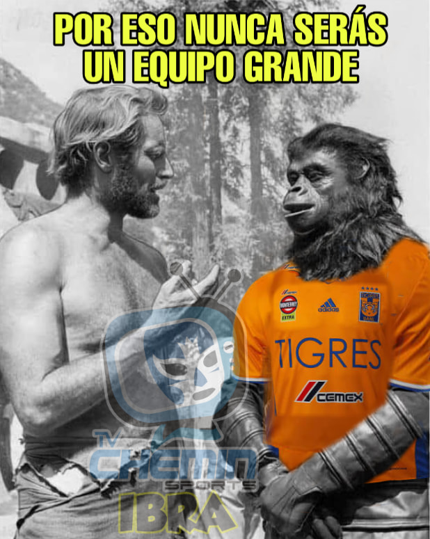 Los memes jamás perdonarán a los Tigres y sus vergüenzas fuera de México.