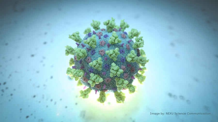 Imagen creada por computadora de la cepa del coronavirus. (Foto: Reuters)