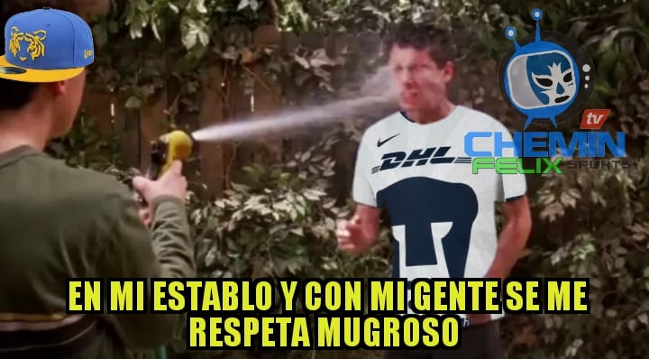 En el duelo de felinos, los Tigres le pusieron tremenda 'madrina' a los Pumas.