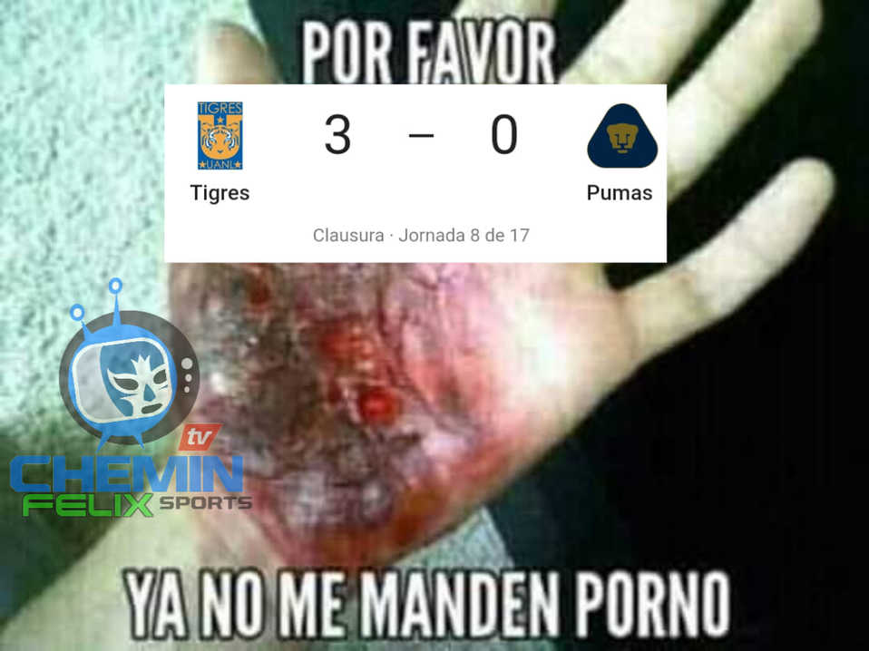 En el duelo de felinos, los Tigres le pusieron tremenda 'madrina' a los Pumas.