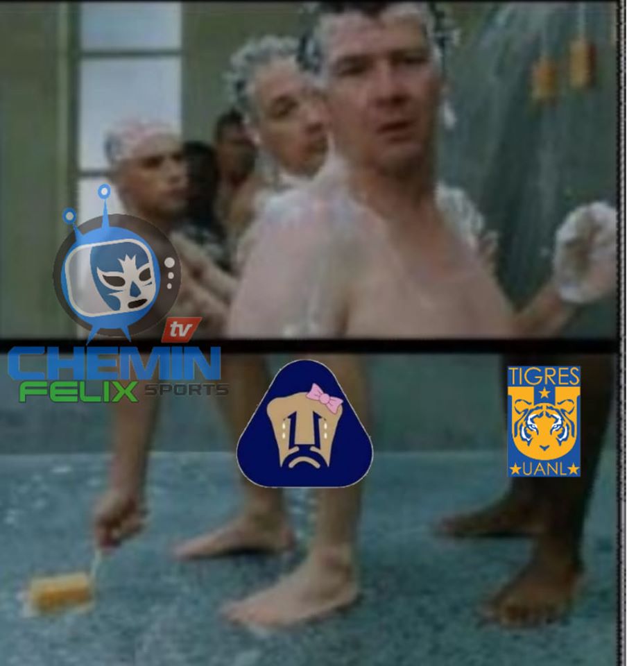 En el duelo de felinos, los Tigres le pusieron tremenda 'madrina' a los Pumas.