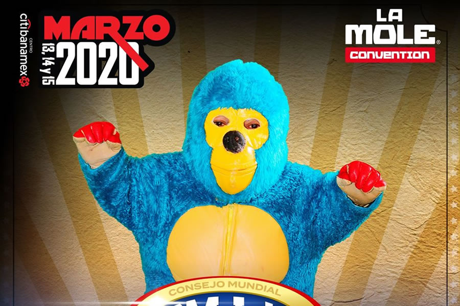 Kemonito es el rey del Internet. (Foto: La Mole)