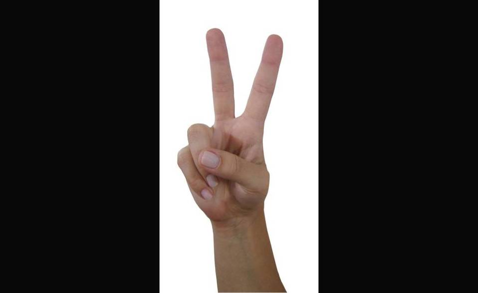 Amor y paz