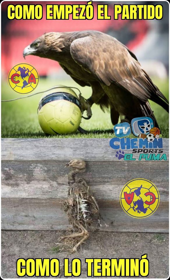 Si estos son los últimos memes por culpa del coronavirus, América se va como el humillado.