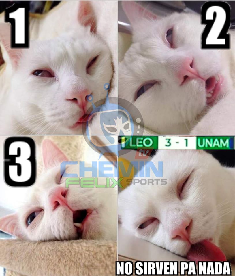 A Pumas le pegó fuerte el coronavirus porque en la Liga se está desmoronando.