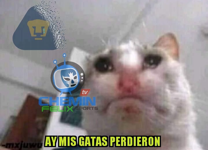 A Pumas le pegó fuerte el coronavirus porque en la Liga se está desmoronando.