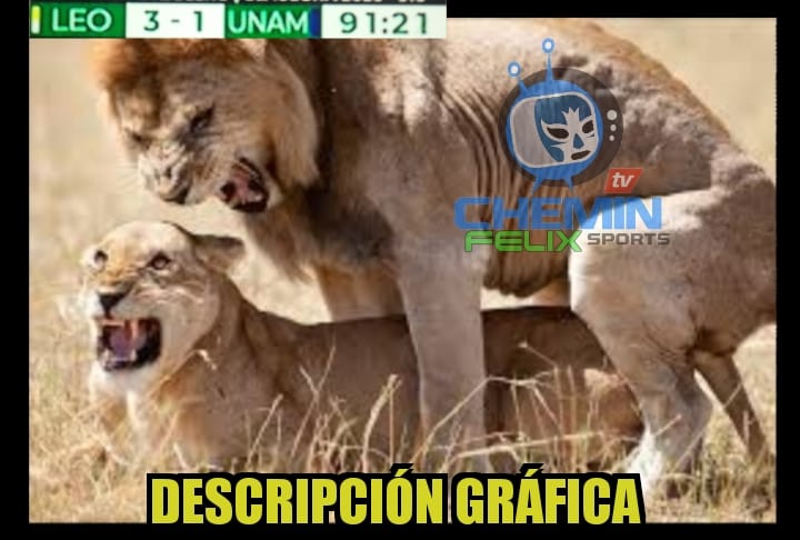 A Pumas le pegó fuerte el coronavirus porque en la Liga se está desmoronando.