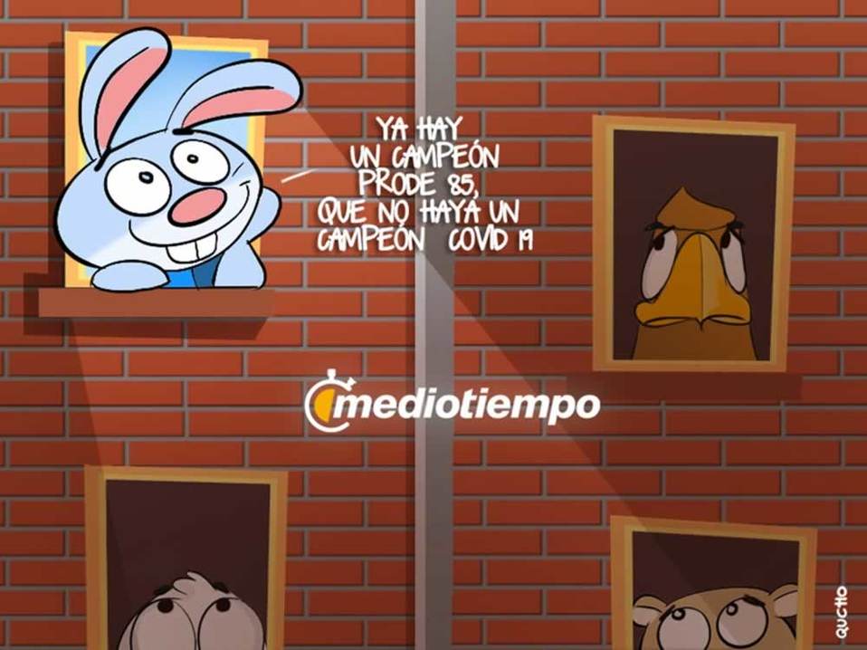 ¡Similares, pero diferentes!