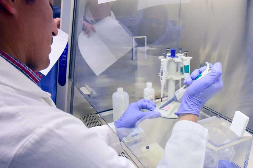 El coronavirus golpea fuerte a Nuevo León. (Foto: Secretaría de Salud Federal)