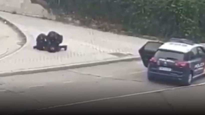 La mujer se resistió al arresto de la Policía.