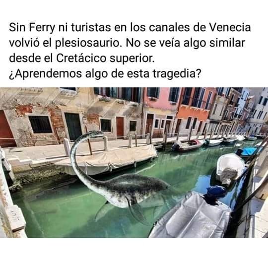 En Venecia, Italia, reportan hasta avistamientos de dinosaurios en los canales.