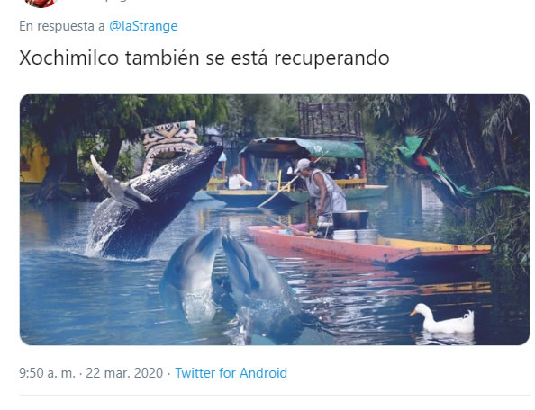 Bastaron unos días sin gente emborrachándose para que Xochimilco sea todo un santuario.