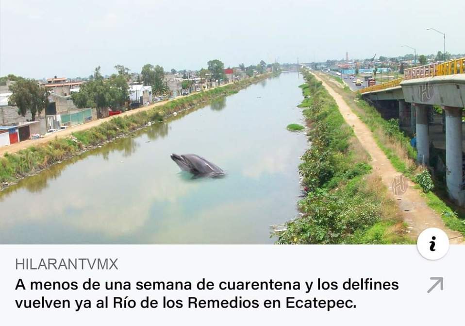 ¡Hasta el Río de los Remedios tiene solución en la cuarentena!