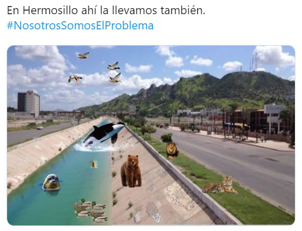 ¡También en Hermosillo la fauna se abre paso!