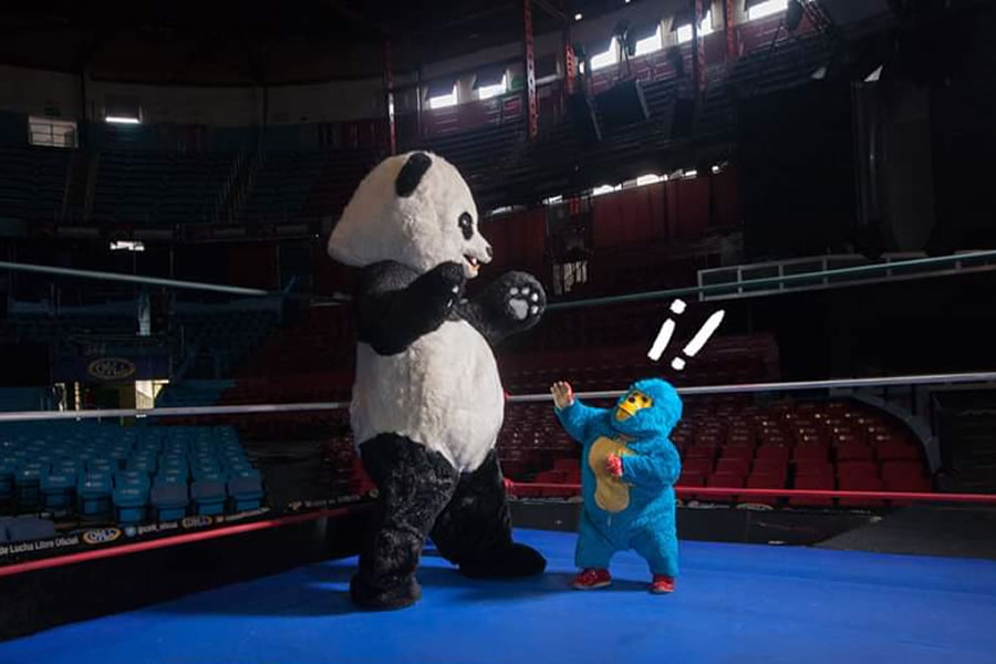 Kemonito recibió una peculiar visita en la Arena México. (CMLL)