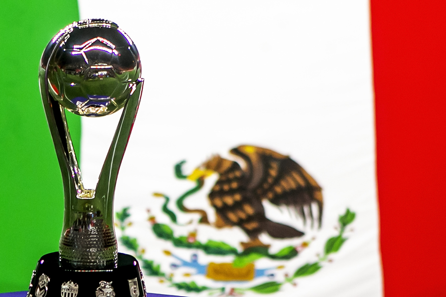 Se realizarán dos torneos de copa para las divisiones juveniles. (Mexsport)