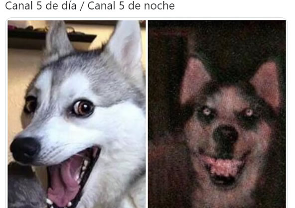 ¡Casi nos matan del infarto! El video del Canal 5 resultó todo un misterio.
