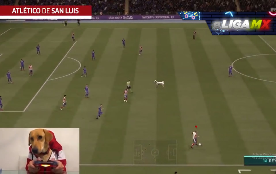 Tunita también invadió el juego de San Luis y Cruz Azul en la eLiga MX